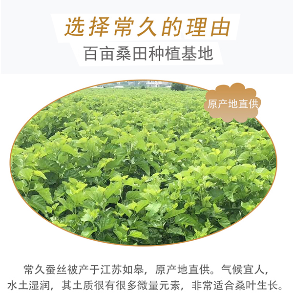 我國(guó)哪里產(chǎn)桑蠶絲被-根源產(chǎn)地有這里[常久]
